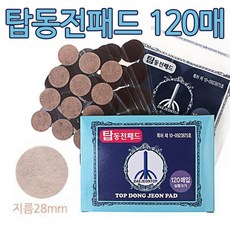 특허 국산 탑동전패드120매 자석파스 패치, 1개