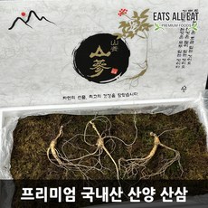 이츠올잇 산양 산삼 산양삼 7-8년산 5뿌리 삼 선물 세트 장뇌삼 고려 자연산 천종 인삼, 선물용／산양삼7~8년산／5뿌리