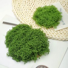 인조이끼 조화 인테리어 인조 이끼 조경 장식 소품 100g 대용량, 1개, 연한녹색 100g 1개, 연한녹색 100g