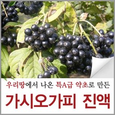 신토불이약초 가시오가피 진액 가시오갈피 열매 즙 90ml 60포