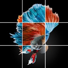 ec47cc96c1b25d258817725b0bf4e726a5356c5a9ec65aa68c408a1efd3f.jpg
