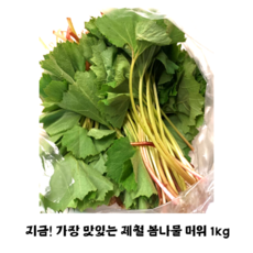 가장 맛있을 때 먹는 당일수확 산지직송 제철 봄나물 머위 1kg 2kg 3kg 향긋한 봄나물 머위나물 머위장아찌 머위쌈밥 머위나물무침