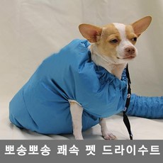 애견 애묘 드라이수트 펫드라이룸, 1개, L