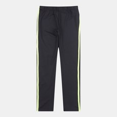 더데이걸즈워터레깅스