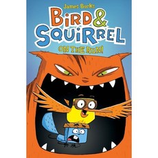 Bird & Squirrel on the Run Paperback, Graphix