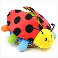 무당벌레는내친구