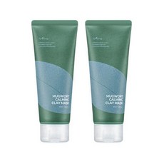 이즈앤트리 머그워트 카밍 클레이 마스크 100ml+100ml, 2개, 1개입