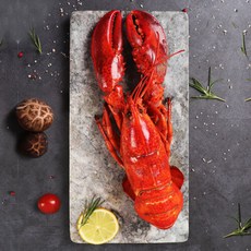 [인정에프앤비] 간편한 홈파티 자숙 냉동 랍스터 1마리 (500g 내외), 1개