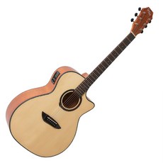 [고퍼우드] Gopherwood G130CE 입문용 기타 풀패키지, 단일속성, 1개