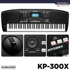 kp300x