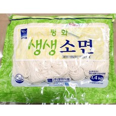 콩국수생면