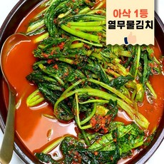 100% 국산 아삭한 전라도 열무물김치, 1개, 2kg