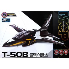블랙이글스완구