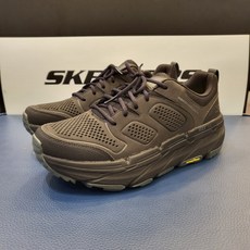 스케쳐스트레킹화