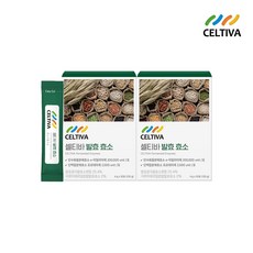 셀티바 곡물 발효 효소 2박스 (4g x 60포), 2개, 단품