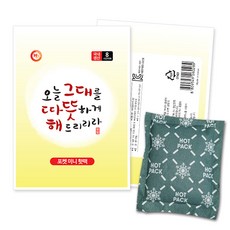 해피데이 포켓용미니핫팩(45g) 즐거운쇼핑핫팩, 100매