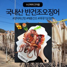 수산복해 영덕 축산항 반건조 피데기 오징어, 2개