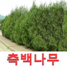 fa2c81361e5fb54b7ff8617d5078ab75a4b6e7b0b28c383835e015c9d13a.png