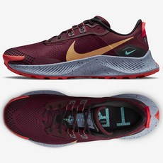 나이키페가수스트레일3