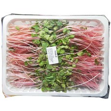 수입산 적메밀순 500g 20개 이강산닷컴