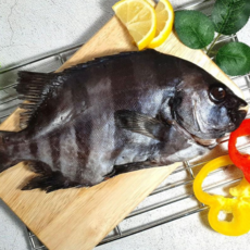[자연식탁]명품 제주도 자연산 돌돔200g이상(23~25cm) 1미 돌돔, 1팩, 돌돔400g이상(26~29cm) 1미