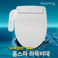 블루밍비데jt1000