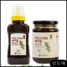 KDM 대추조청(튜브) 농축액 식품 건강식품 300g, KDM 1