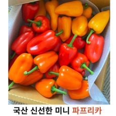 국내산 미니 파프리카 600g 1.2kg 2kg 싱싱하고 깨끗한 파프리카 샐러드 주스 간편식 아삭아삭 달달한 파프리카 꼬마 파프리카, 1개