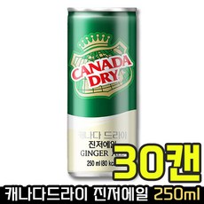 [ 하이볼 필수 재료 ] 코카콜라 캐나다드라이 진저에일 250ml x 30캔 레몬 생강 탄산 음료 칵테일 메이커 믹서 편의점 위스키 토닉워터 탄산수 혼술 탕비실 사무실 코스트코