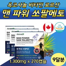 뉴홈런2