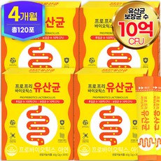 4개월책