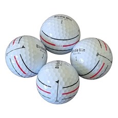 3말쌍통2라인스타리온