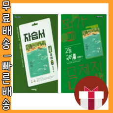 고등국어평가문제집박영민