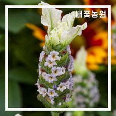 11ca5699185a2e51a675b6a8ffcf91cf9afeee91be0971b488c16ad2d876.jpg