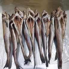 구룡포 반건조 손질 명태 코다리 10마리 신선씨푸드, 코다리10마리