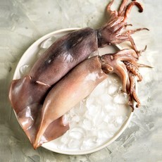 동해안 손질된 생물 오징어 2마리 (200g내외)