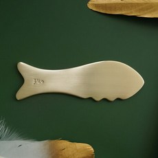 놋담물고기괄사