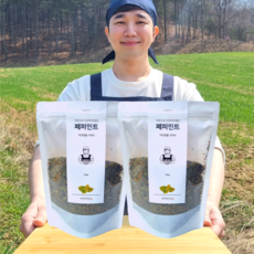 1+1 반듯한청년 페퍼민트 티 100g 2봉 리필팩 차, 1개입, 2개, 1+1 반듯한청년 페퍼민트 티 100g 2봉 차 리필팩