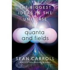 (영문도서) Quanta and Fields: The Biggest Ideas in the Universe Hardcover, Dutton, English, 9780593186602