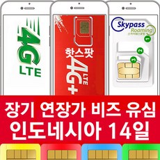 스카이패스로밍