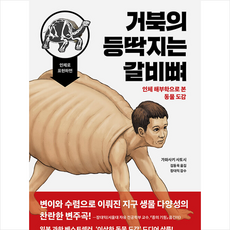 거북이등딱지는갈비뼈