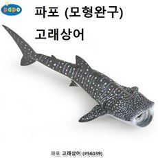 파포고래상어