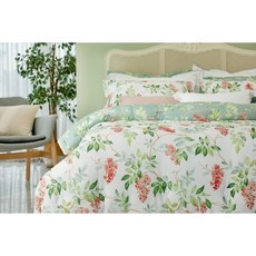 로라애슐리스프레드q