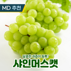 고급품종 프리미엄 샤인머스캣 당도선별, 1개, 특품 1kg