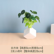 아이큐브세라믹