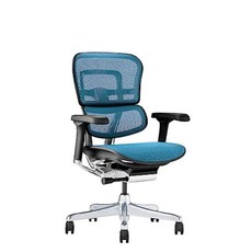 에르고휴먼 2 EHP2-LPL-BF-BK office desk chair, 프레임: 블랙  메쉬: 블루