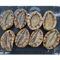 [통영] 자연산 전복 활전복 1kg 해녀가 직접 채취하는, 꼬마전복(12-14미)