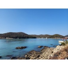 [당일발송] 청정 완도 활 참전복 횟감 전복 가성비 전복, 1개, 산소포장 (1kg당 1개)