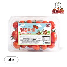 달곰마토 스테비아 방울토마토, 1개, 2kg