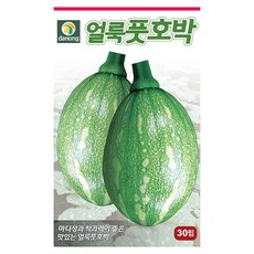 새로운 쥬키니 호박 씨앗 30립 - 쥬키니호박 호박씨앗 애호박 야채씨앗 채소씨앗 채소재배 종묘 종자 베란다 텃밭 씨 씨앗 오이 호박 방, 13_다농_얼룩 풋호박(30립)